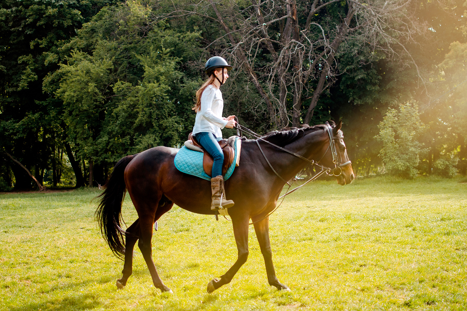 Home Champion Springs Farm Mendon, New York